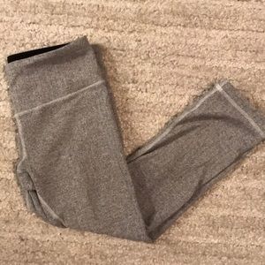 Gray Wunder Under Crop